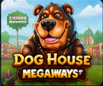 Dog House game preview